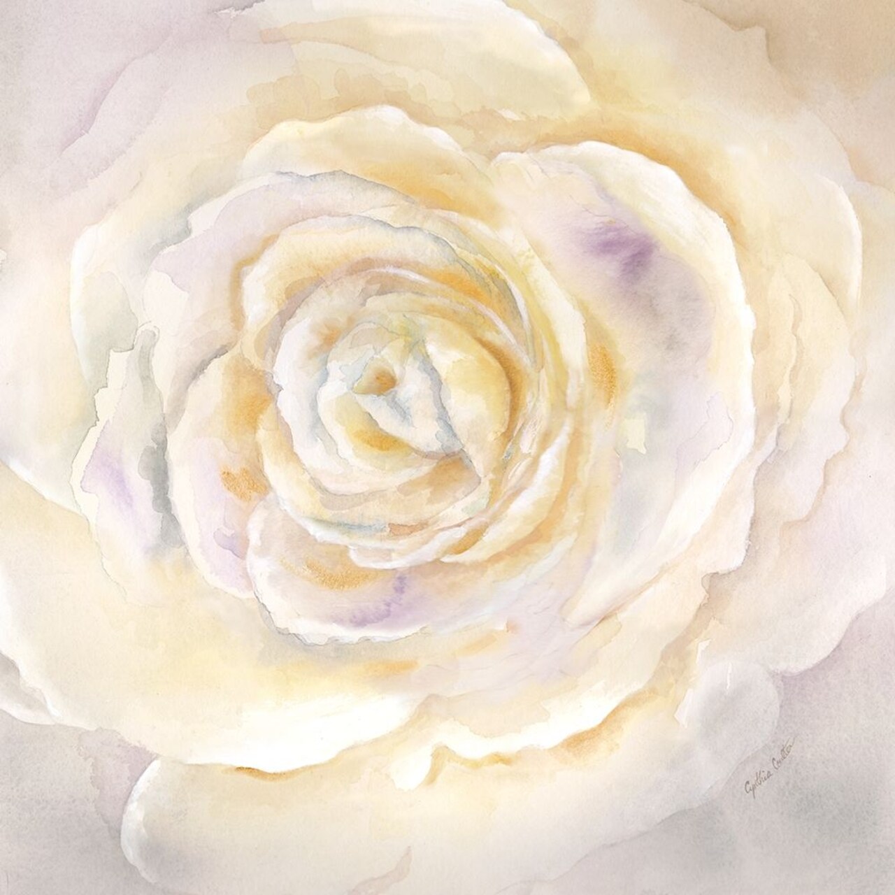 Watercolor Rose Closeup I Poster Print by Cynthia Coulter - Item # VARPDXRB11786CC